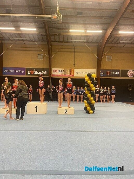 Turnsters pakken podiumplaatsen - Foto: Ingezonden foto
