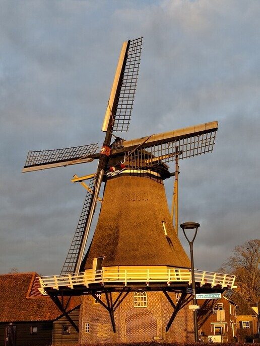 In de januari avondzon - Foto: Ingezonden foto