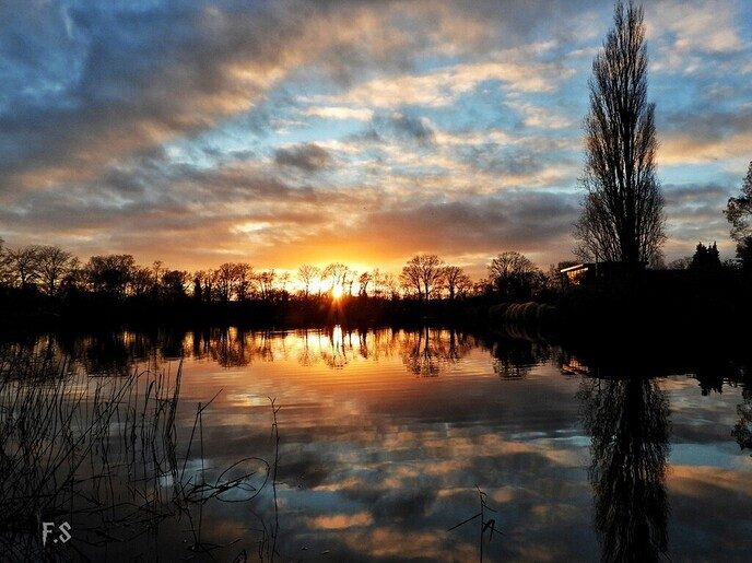 Prachtige foto van uit Nieuwleusen - Foto: Ingezonden foto