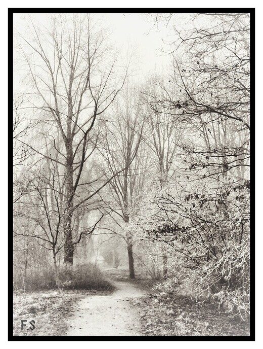 Zwart / Wit - Foto: Ingezonden foto