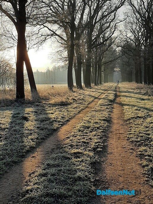 De natuur als medicijn - Foto: Ingezonden foto