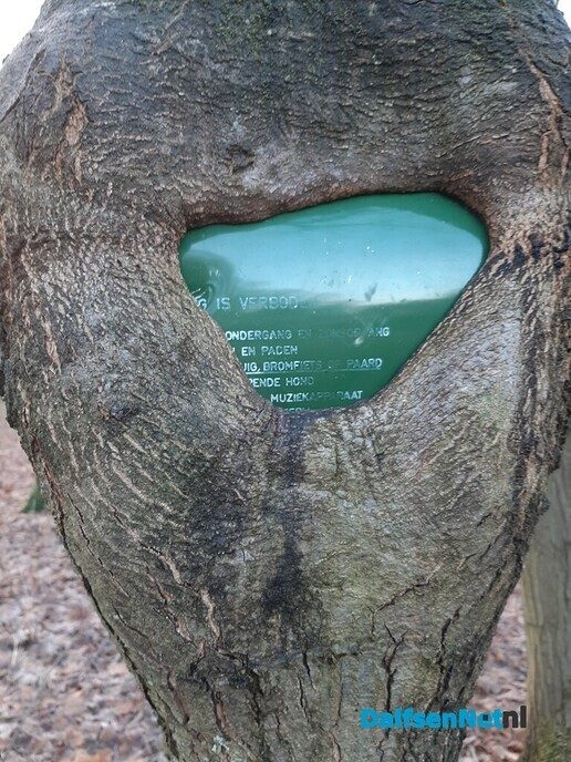 De natuur als medicijn - Foto: Ingezonden foto