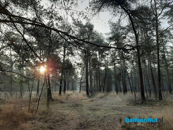 De natuur als medicijn - Foto: Ingezonden foto