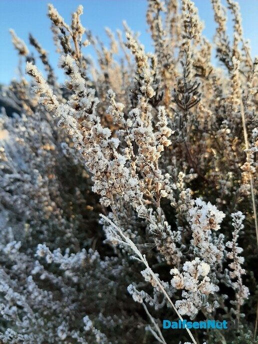 De natuur als medicijn - Foto: Ingezonden foto