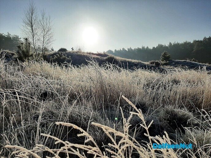 De natuur als medicijn - Foto: Ingezonden foto