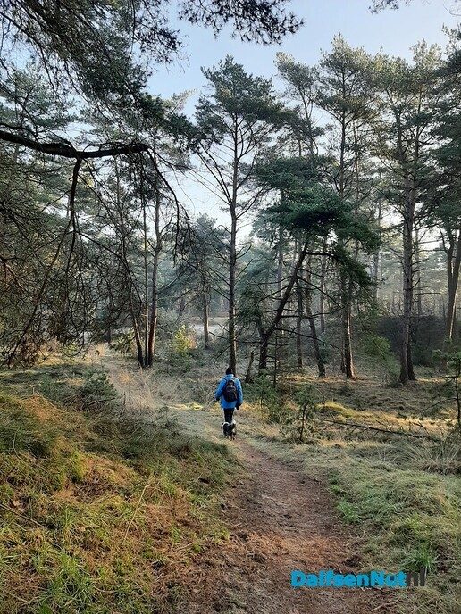 De natuur als medicijn - Foto: Ingezonden foto