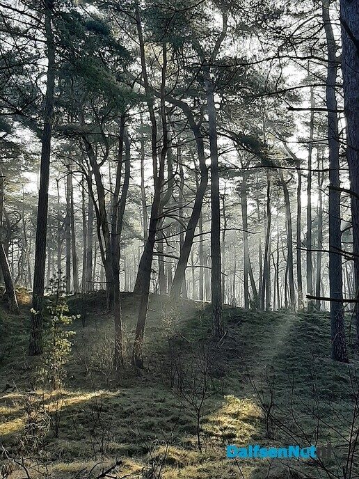 De natuur als medicijn - Foto: Ingezonden foto