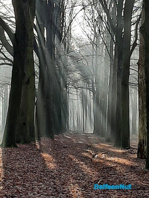 De natuur als medicijn - Foto: Ingezonden foto