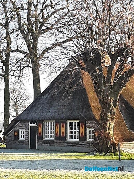 De natuur als medicijn - Foto: Ingezonden foto