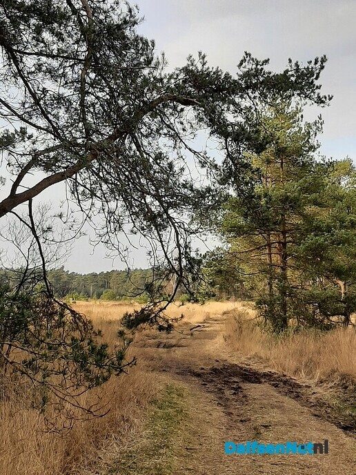 Rechterenseveld blijft boeien - Foto: Ingezonden foto