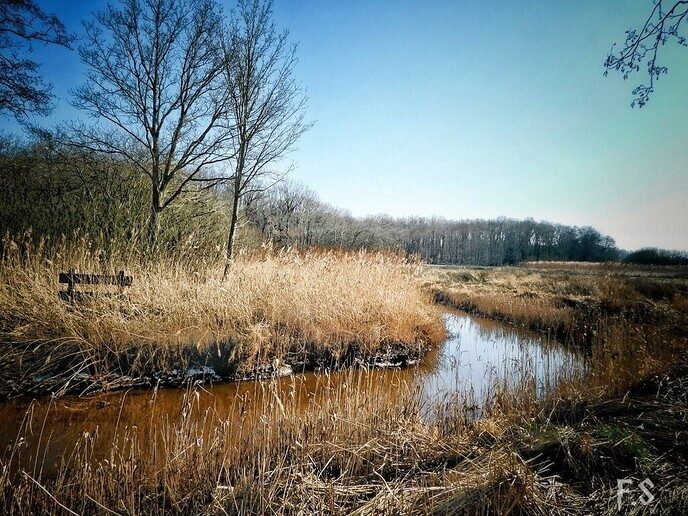 Hele mooie natuur foto’s - Foto: Femmie Smink