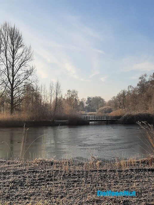 Winters sfeertje - Foto: Ingezonden foto