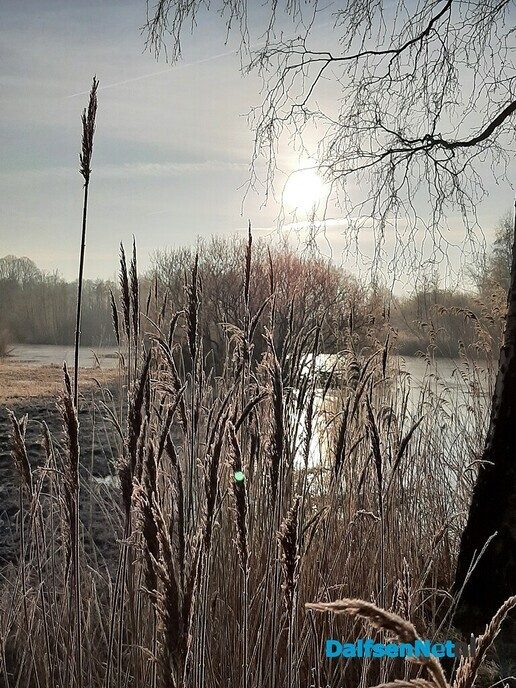Winters sfeertje - Foto: Ingezonden foto