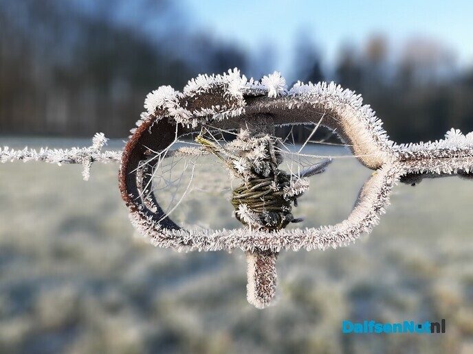 Winters sfeertje - Foto: Ingezonden foto