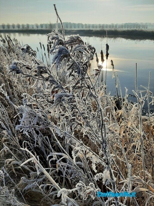 Winters sfeertje - Foto: Ingezonden foto