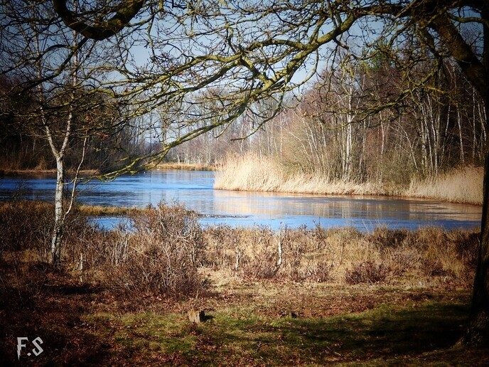 Hele mooie natuur foto’s - Foto: Femmie Smink