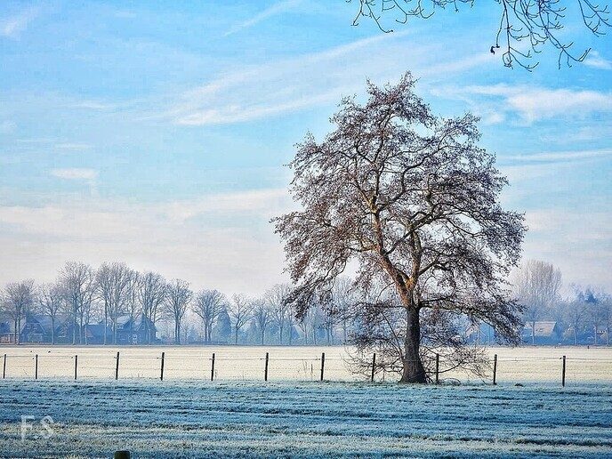 Beeldige plaatjes - Foto: Femmie Smink