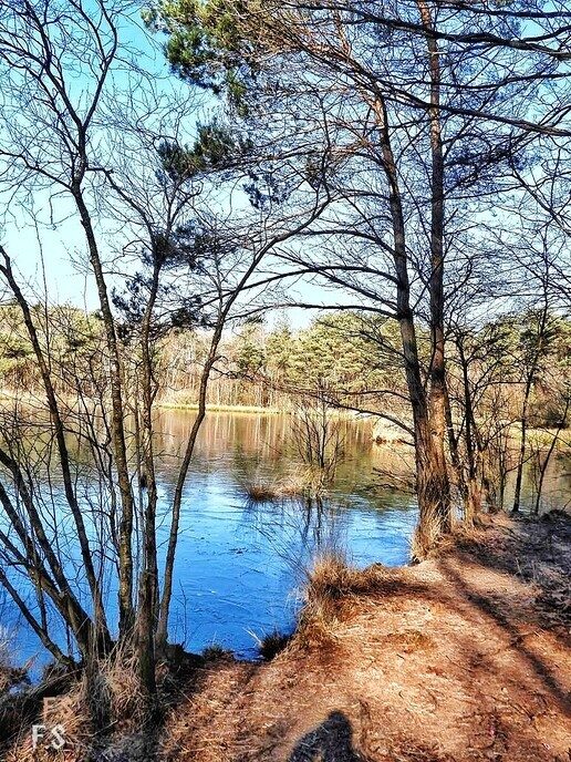 Hele mooie natuur foto’s - Foto: Femmie Smink