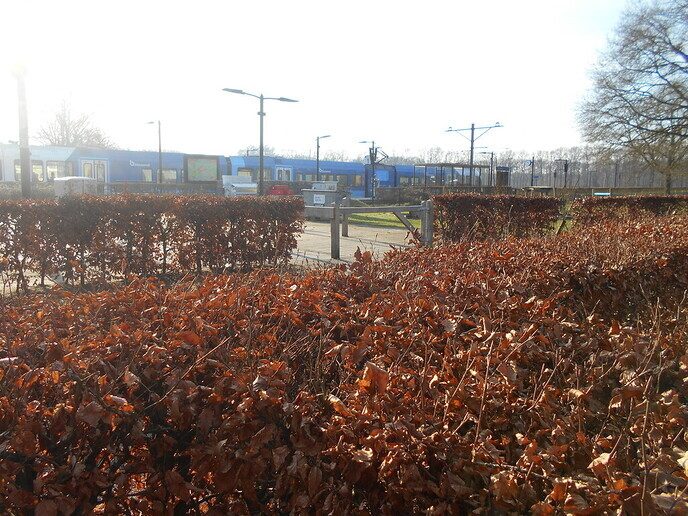 Gedoe op het perron - Foto: Ingezonden foto