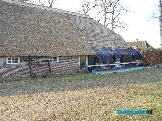 De rietdekker dekt niet