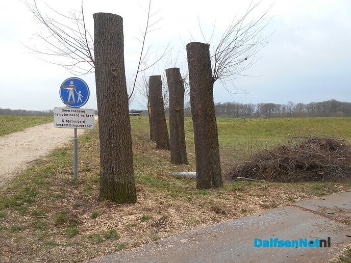Speelgelegenheid Bruinleeuwstraat: Bokspringen?