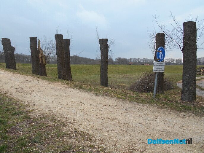 Speelgelegenheid Bruinleeuwstraat: Bokspringen?