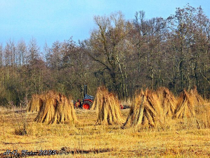 De natuur van Overijssel.