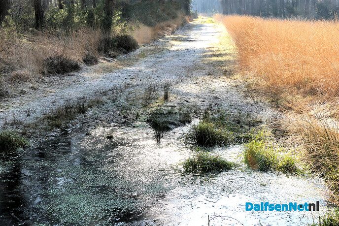 Rechterense Veld op een vorstige morgen - Foto: Hans de Weerd