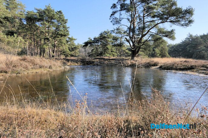 Rechterense Veld op een vorstige morgen - Foto: Hans de Weerd