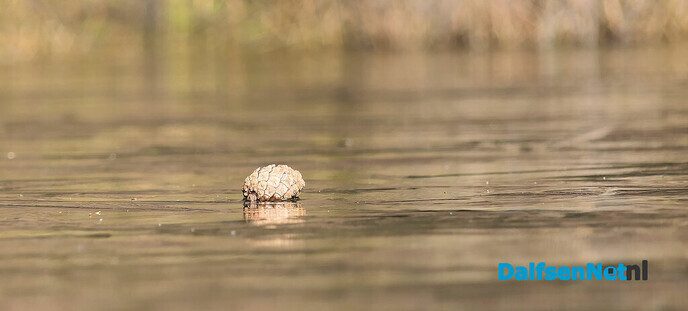 Rechterense Veld op een vorstige morgen - Foto: Hans de Weerd