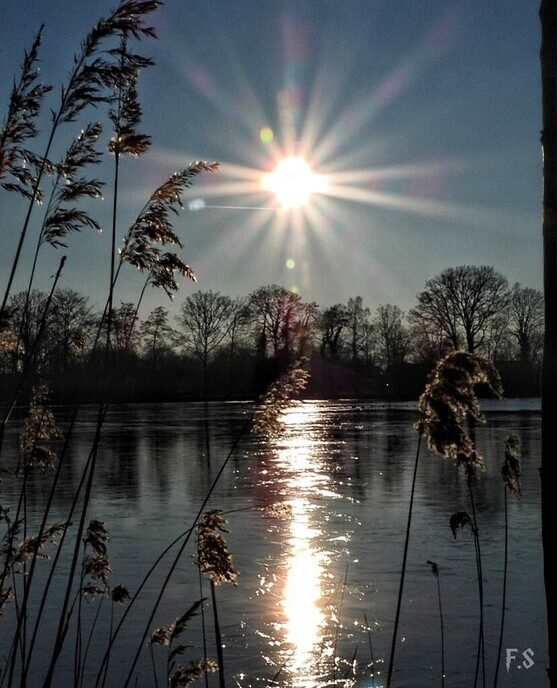 En toen ging de zon bijna onder - Foto: Femmie Smink
