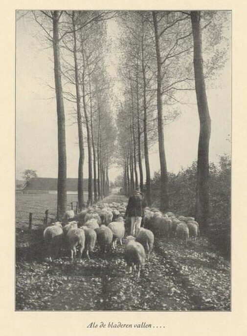 Een vergeten hoekje van Salland - Foto: Ingezonden foto