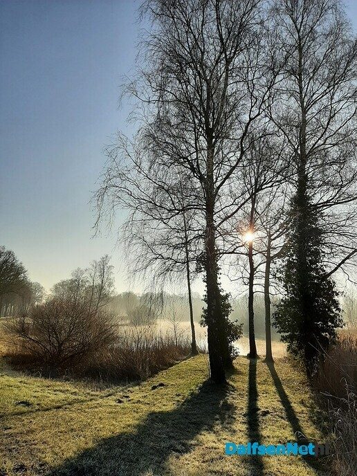 In het ochtendzonnetje - Foto: Ingezonden foto