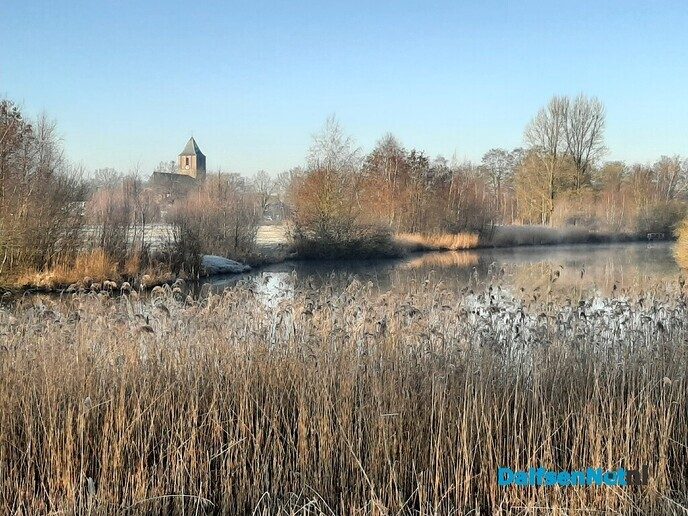 In het ochtendzonnetje - Foto: Ingezonden foto