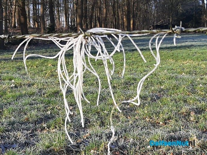 In het ochtendzonnetje - Foto: Ingezonden foto