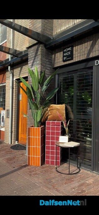 Wie heeft onze plant gezien? - Foto: Ingezonden foto