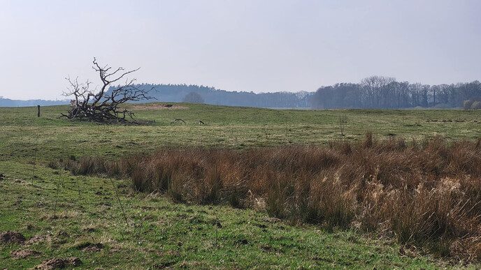 Tjerk Oosterkamp fietst over de prairie - Foto: Eigen geleverde foto