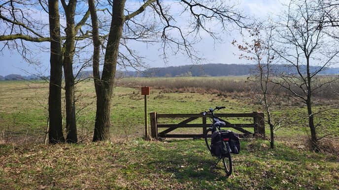 Tjerk Oosterkamp fietst over de prairie - Foto: Eigen geleverde foto