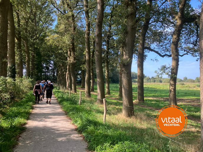 Vitaal Vechtdal: ze gaan weer wandelen - Foto: Ingezonden foto