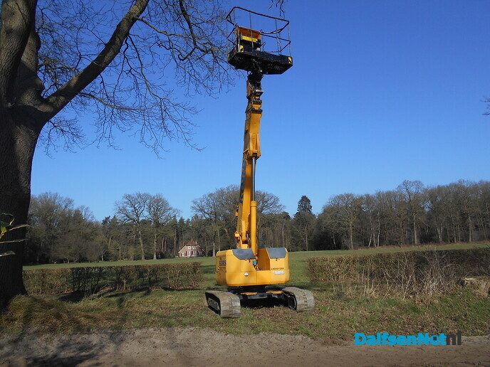 Wilgen knotten