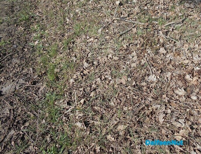 Vandaag 20 maart 2025 om 10:02 uur, is de lente begonnen