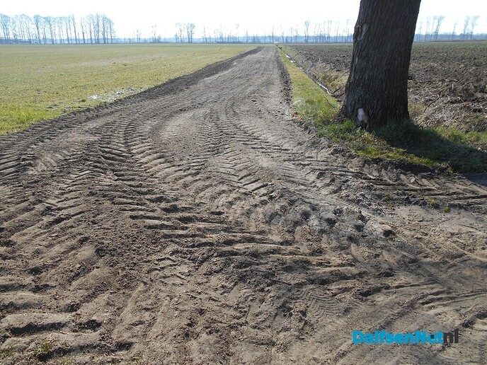 Vandaag 20 maart 2025 om 10:02 uur, is de lente begonnen