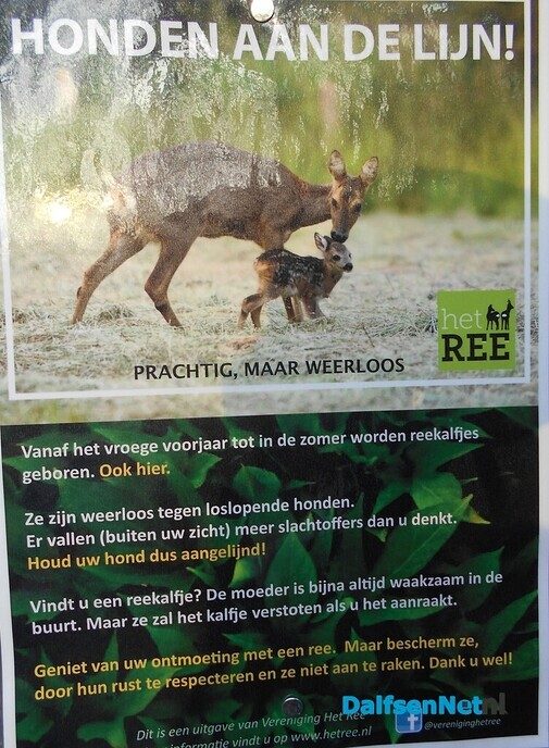 Honden aan de lijn aub