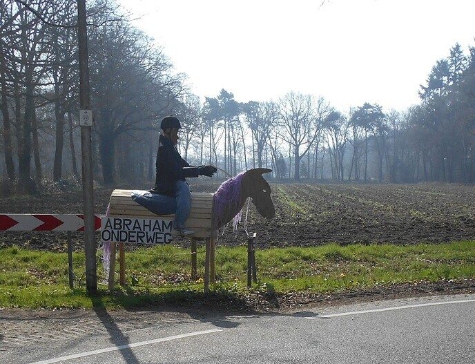 Abraham op het paard bereikt eindbestemming: het was bij Romboud - Foto: Ingezonden foto