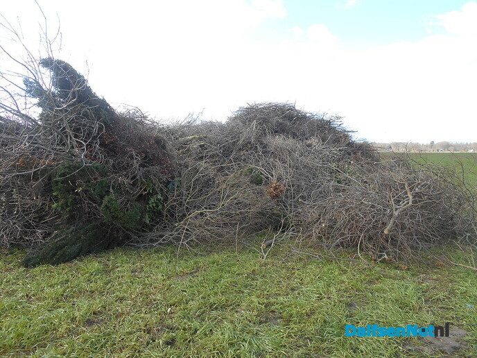 Optuigen paasbult