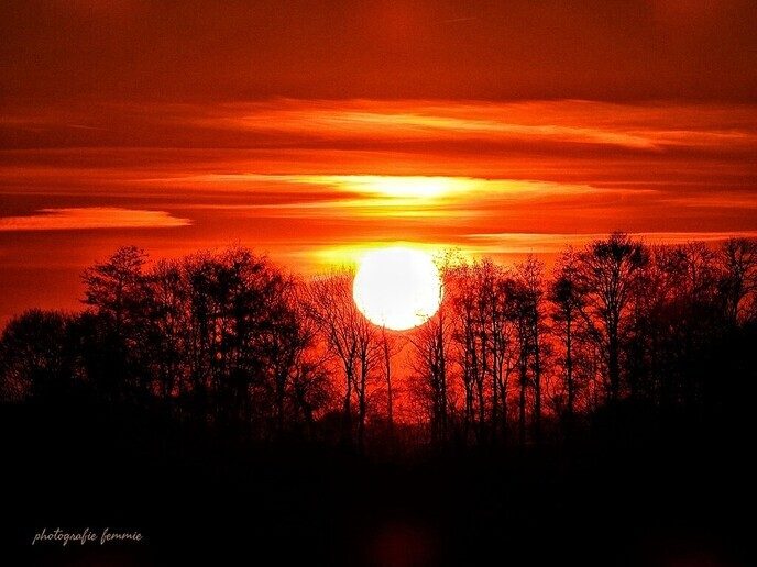 Dalfser fotograaf gaat gemeentegrens over - Foto: Femmie Smink