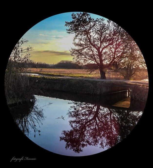 Prachtige spiegeling - Foto: Femmie Smink