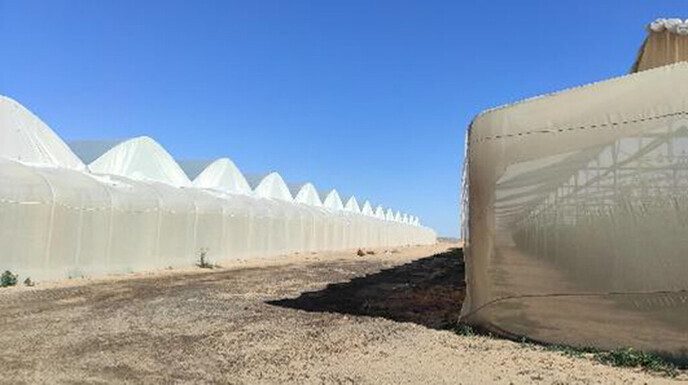 Drie vrienden uit Dalfsen gaan boeren in Israël helpen - Foto: Eigen geleverde foto