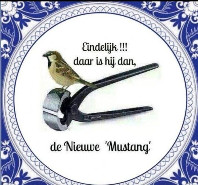 Nej gereedschap - Foto: Gruune Jopie