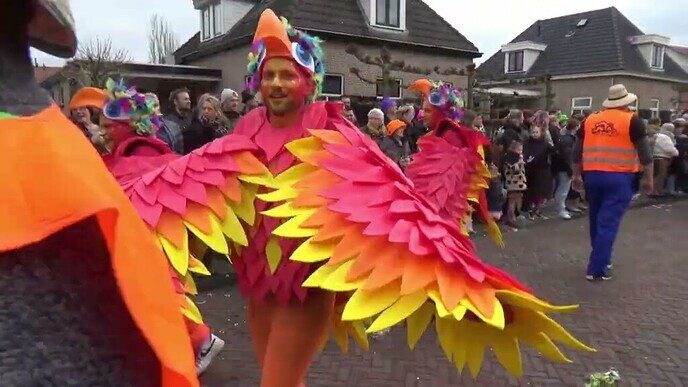 Carnaval Optocht Lemelerveld 2025 (deel 1)